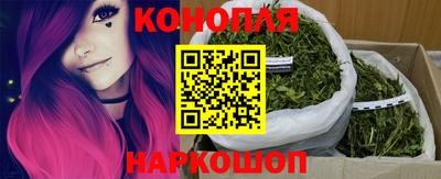 крисы Кинель