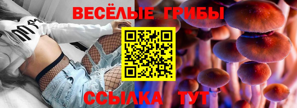 Галлюциногенные грибы мухоморы  Вход с VPN  Фурманов 